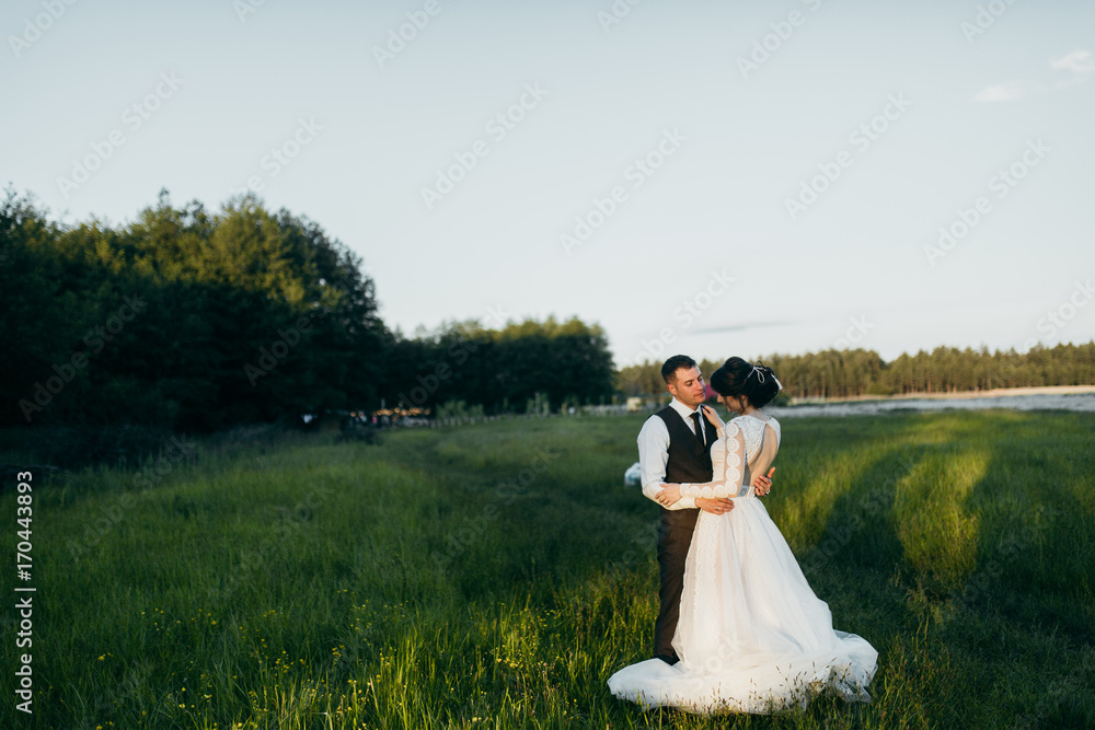 
Wonderful groom and bride are walking around the field at sunset