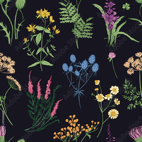 Floral seamless pattern with colorful forest herbs, herbaceous plants and blooming wild flowers on black background. Botanical vector illustration for textile print, wallpaper, wrapping paper.