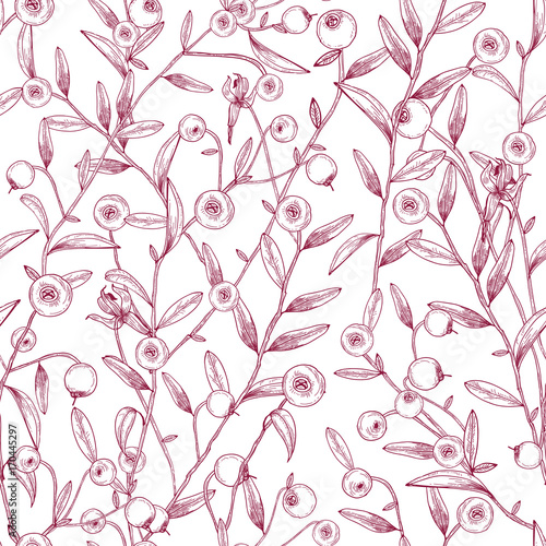 Beautiful seamless pattern with cranberries growing on stems with tiny leaves against white background. Texture with berries drawn in etching style. Vector illustration for wallpaper, textile print