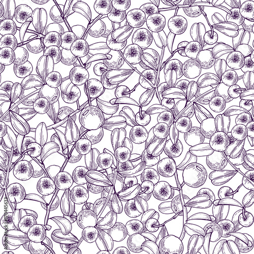 Monochrome seamless pattern with arctic lingonberry hand drawn with purple li...