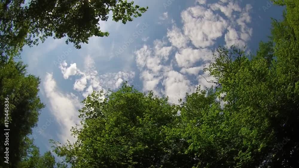 Timelapse nuvole nel cielo nella foresta Timelapse nuvole nel cielo nella foresta