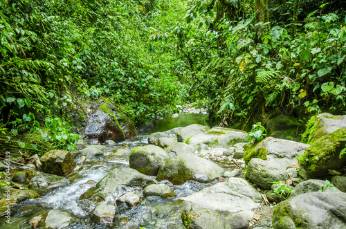 Beautiful creek flowing inside of a green forest with stones in river at Mindo
