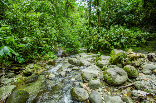Beautiful creek flowing inside of a green forest with stones in river at Mindo