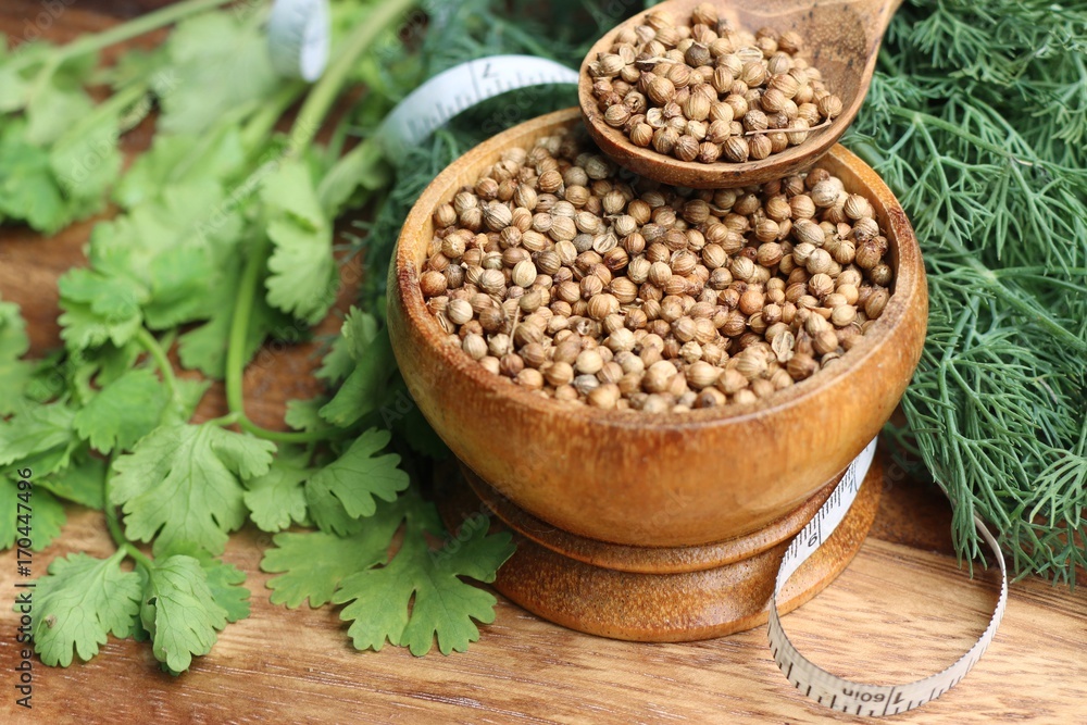 coriander leaves