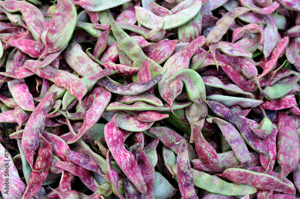 fresh beans selling at the agriculture fair