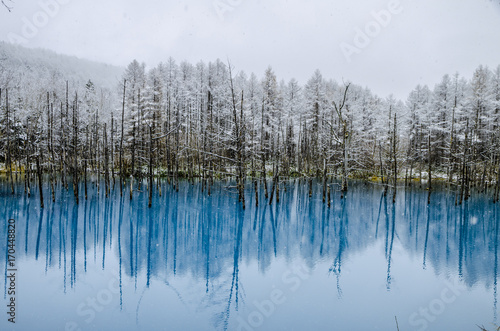 Blue Pond is a man-made water feature in Biei  Hokkaido  Japan. It is one of the world most beautiful pond and offer different view for each season. The pond opened at 2010 and become tourism hotspot.