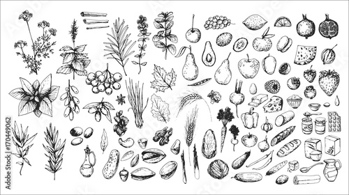 hand drawn vintage set of food: nuts, berry, fruits, herbs