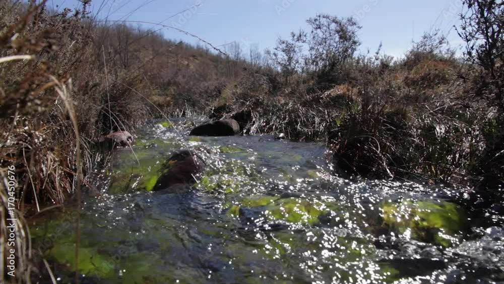 Arroyo o riachuelo de montaña o monte con el agua transparente, entre vegetacion invernal. Con piedras en el fondo teñidas de verde por algas Arroyo o riachuelo de montaña o monte con el agua transparente, entre vegetacion invernal. Con piedras en el fondo teñidas de verde por algas
