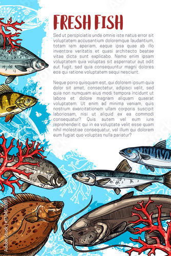 Vector poster of fresh fish or sea food