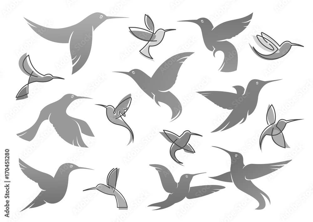 Vector icons of colibri humming bird Vector icons of colibri humming bird