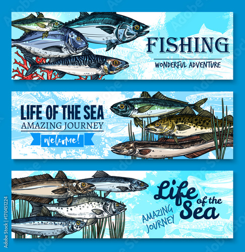 Vector fish banners for sea fishing adventure
