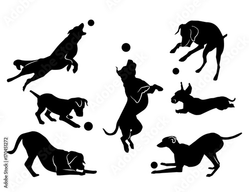 dog playing with a ball. black silhouette. vector