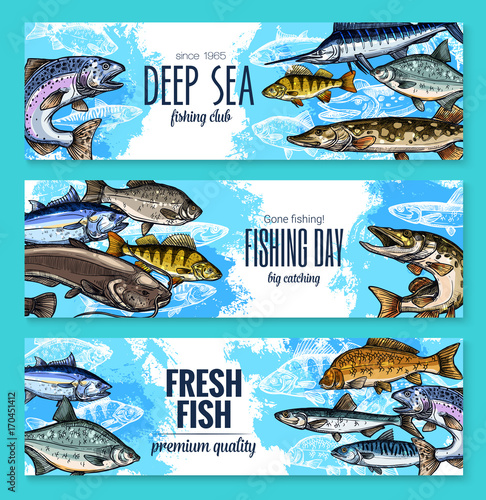 Vector banners for fishing or fish sea life