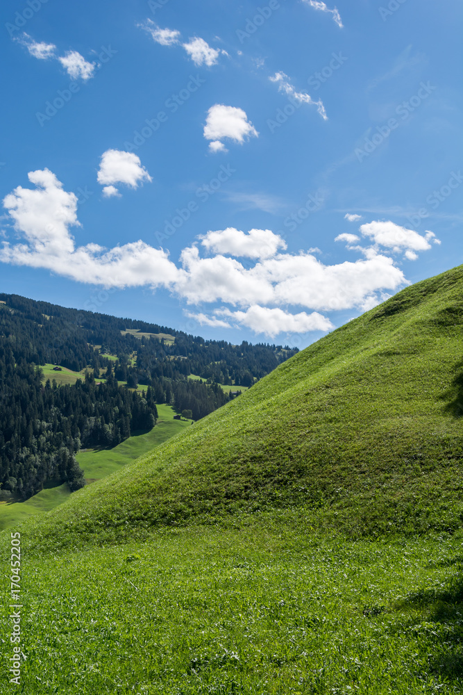 Berg mit grüner Wiese - Hügel Berg mit grüner Wiese - Hügel
