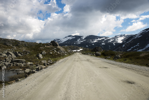 gamle strynefjellsvegen road in norway © Chris Willemsen 
