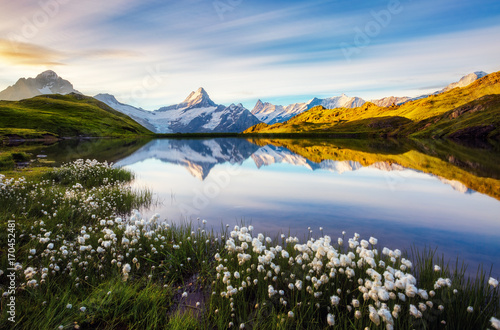 Great view of Mt. Schreckhorn and Wetterhorn above Bachalpsee lake. Location place Swiss alps, Grindelwald valley, Europe.