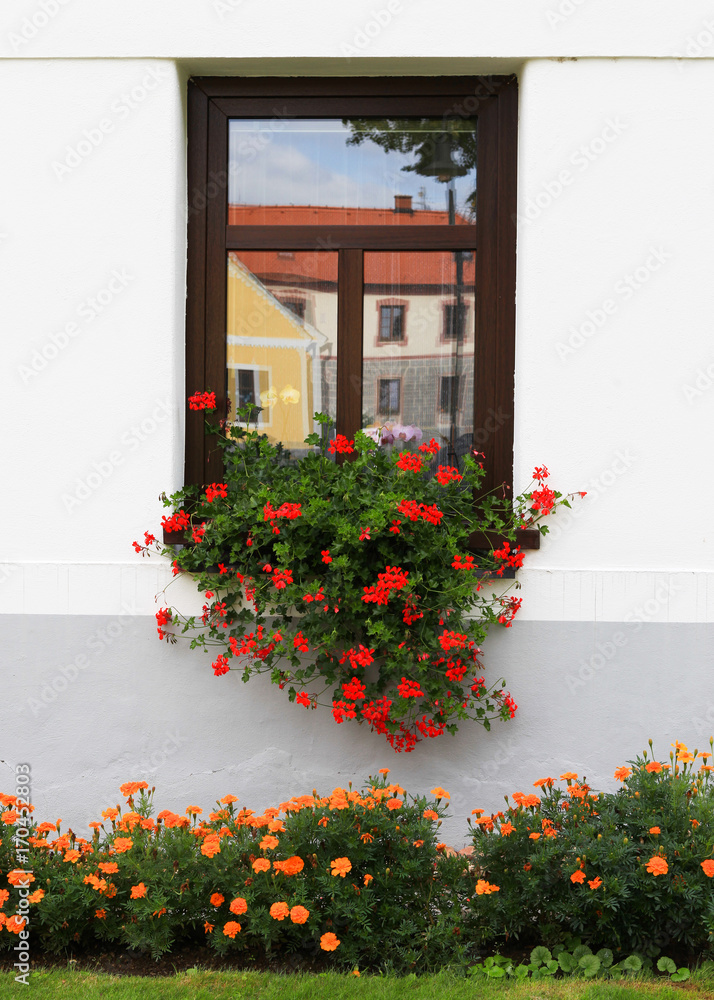 Naklejka premium Beautiful country house window with flowers