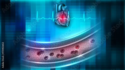 Vessel blood flow and heart anatomy abstract background, circulatory system health care concept