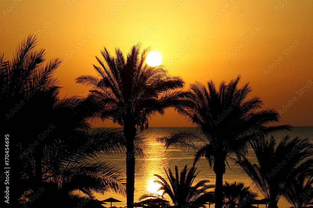 Beautiful seascape with morning sun, beach, and palm trees