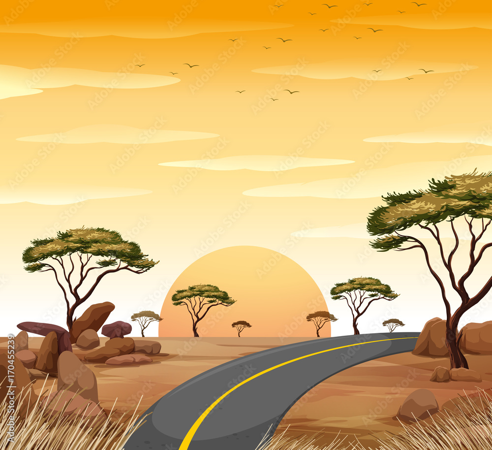 Savanna scene with empty road at sunset