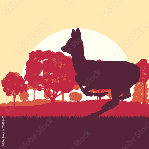 Roe deer in forest field with sunset and trees vector background