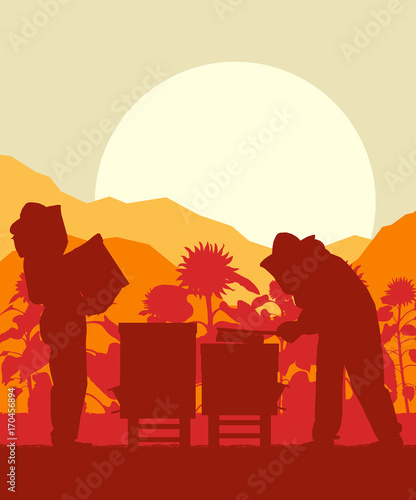 Beekeeper working in apiary in front of sunflower field vector