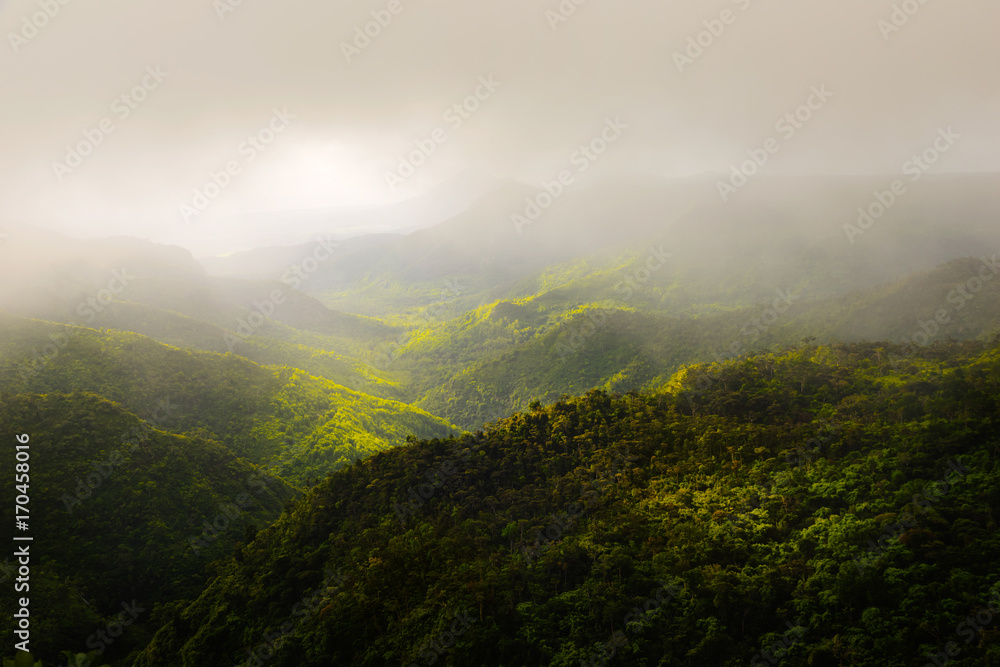 Beautiful panorama of Black River Gorges park and jungle around it, Mauritius.
Beautiful panorama of Black River Gorges park and jungle around it, Mauritius.
