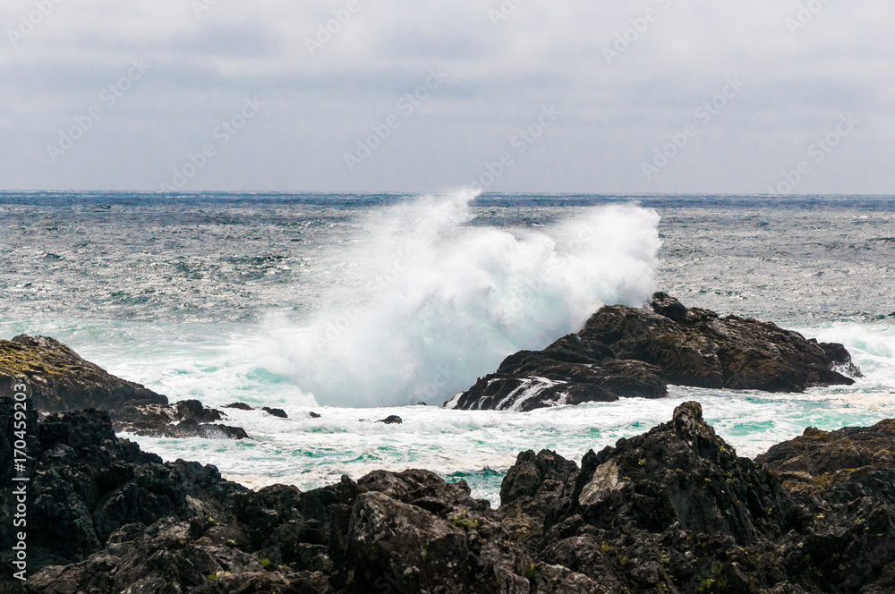 Pacific wave action Pacific wave action