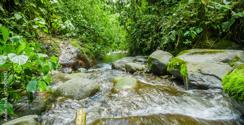 Beautiful creek flowing inside of a green forest with stones in river at Mindo