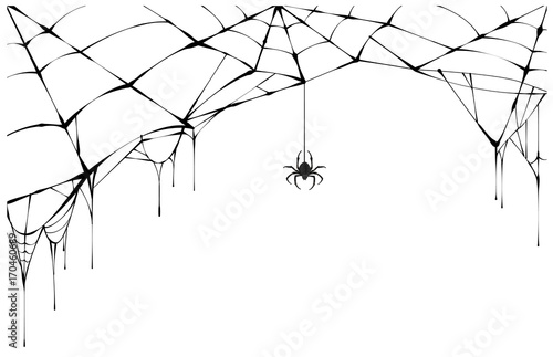 Valokuva Black spider and torn web. Scary spiderweb of halloween symbol