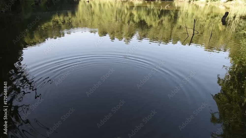 film of the lake with trees shadow film of the lake with trees shadow