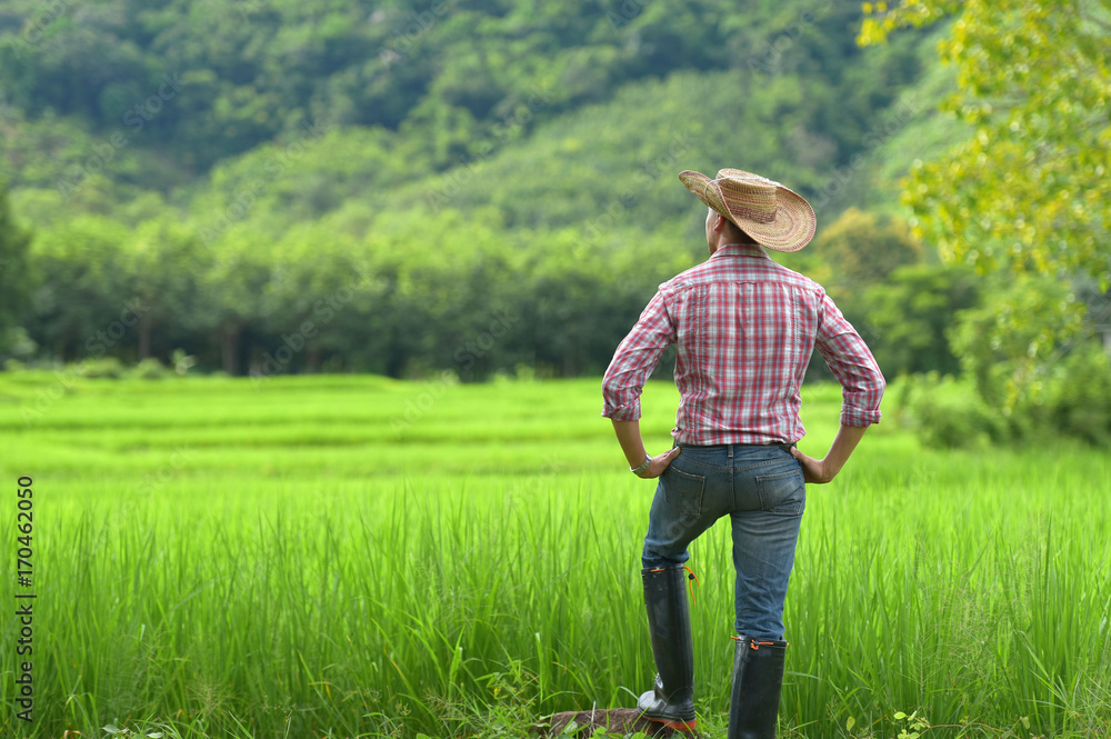 Man with his back turned touching wheat plants in a huge field Man with his back turned touching wheat plants in a huge field