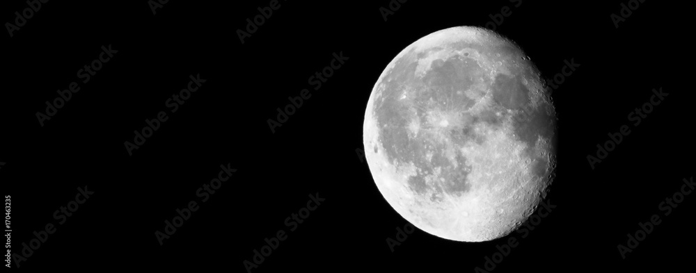 Moon Moon