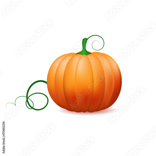 Pumpkin icon ,Vector vegetables.