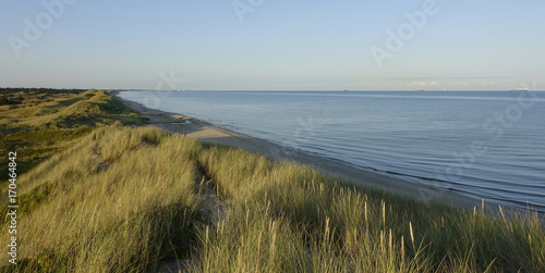 Canvas-taulu Danish Coastline