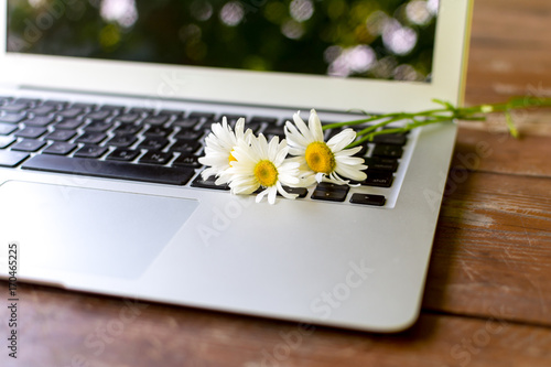 Workspace in garden, outdoor concept: laptop, and flowers close up on wooden table
