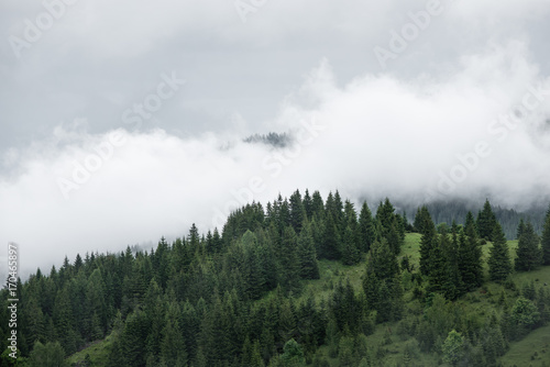 Mountain hills covered with fog in summer