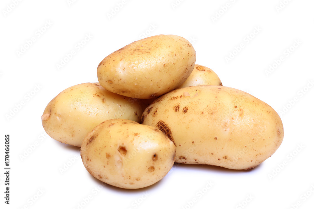 Raw potatos for eating on white background Raw potatos for eating on white background