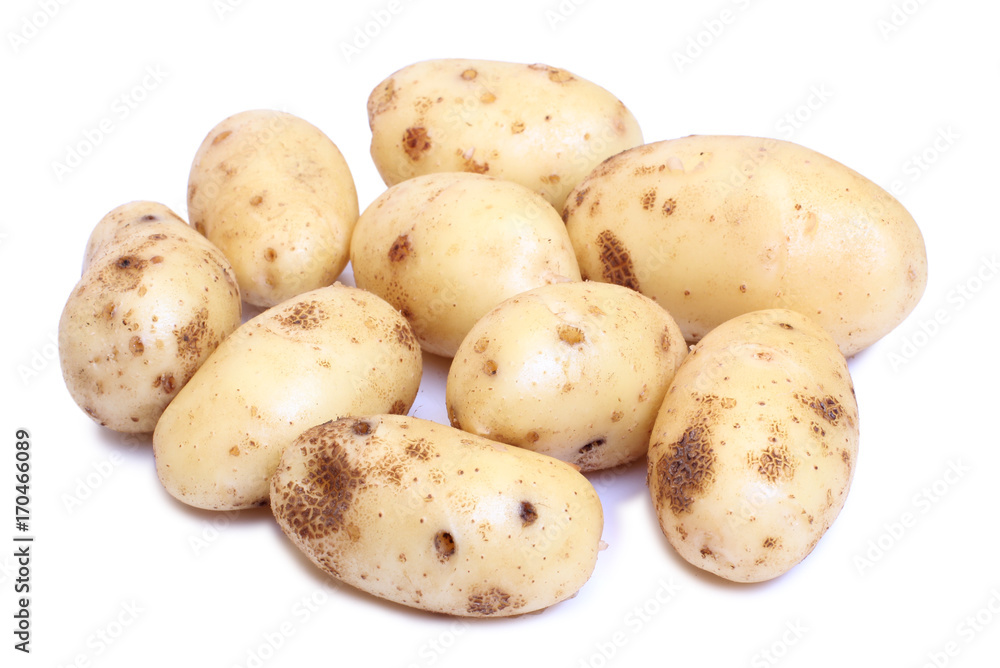 Raw potatos for eating on white background Raw potatos for eating on white background