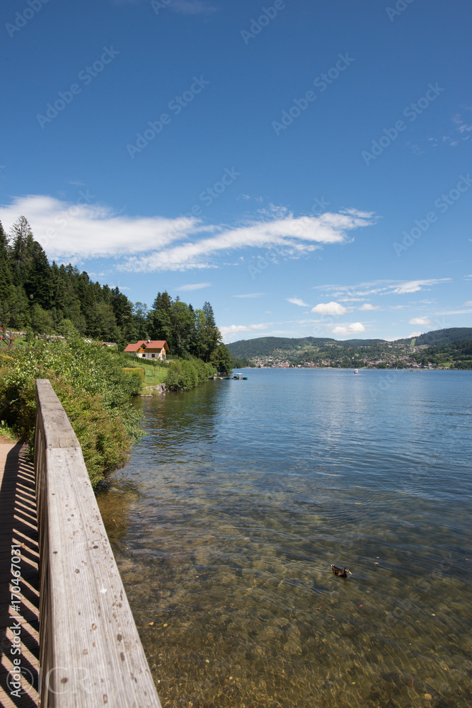 Fototapeta premium Lac de Gerardmer - Vosges - France