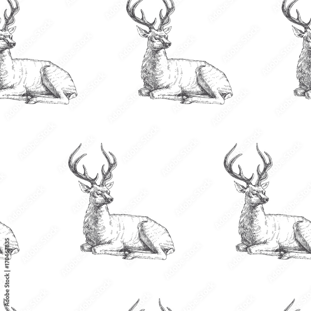 Fototapeta premium Vector seamless pattern with hand drawn forest deers. Background with wild animals in sketch style. Black and white texture