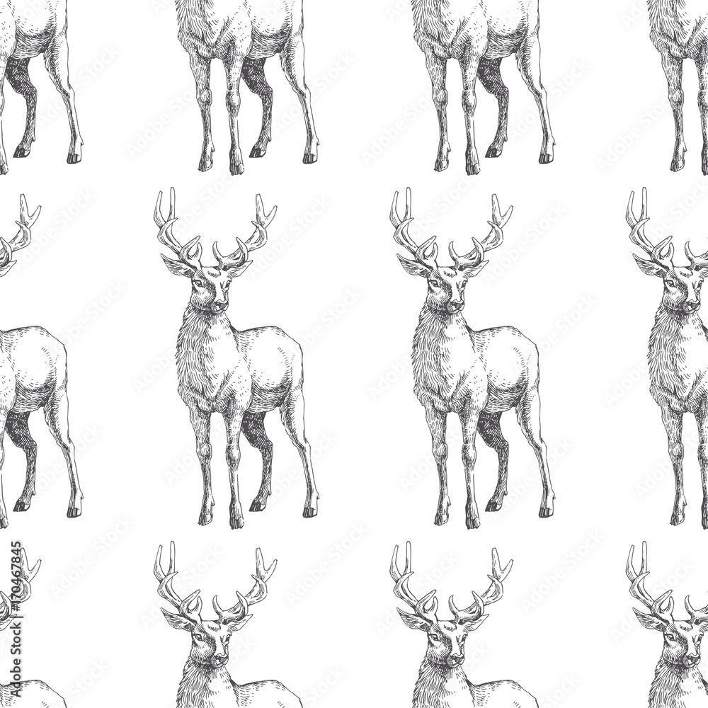 Naklejka premium Vector seamless pattern with hand drawn forest deers. Background with wild animals in sketch style. Black and white texture