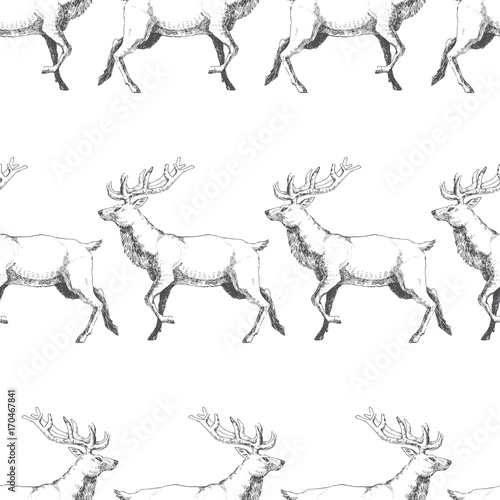 Vector seamless pattern with hand drawn forest deers. Background with wild animals in sketch style. Black and white texture