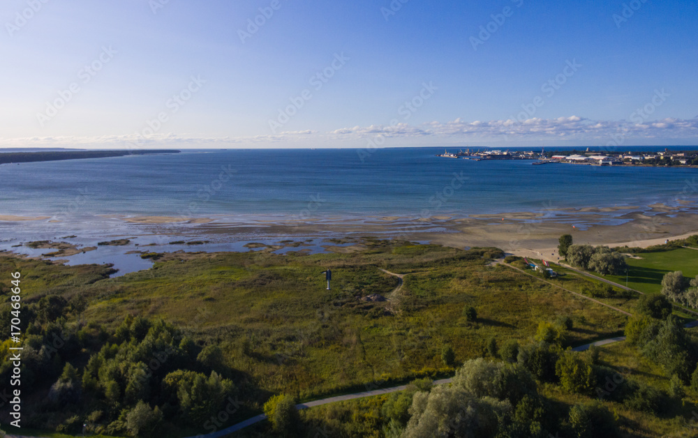 Aerial View Sea Landscape with forest