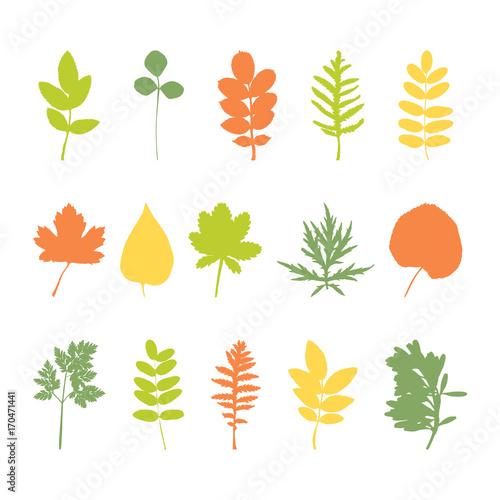Set of leaves elements