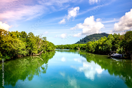 Big river with mangrove forest and bright sky.