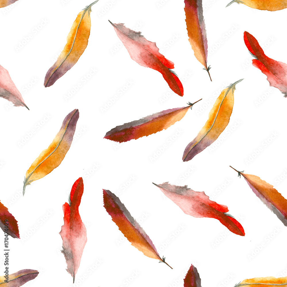 Watercolor feather pattern Watercolor feather pattern