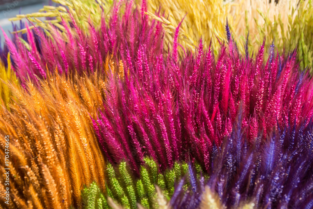 colorful background colorful background