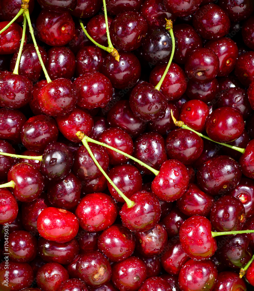 Freshly red cherry berries with water droplets. Healthy food background Freshly red cherry berries with water droplets. Healthy food background