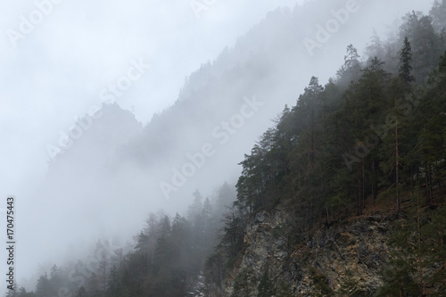 Fog cover the forest in the mountains. Misty landscape view in a valley in Switzerland.